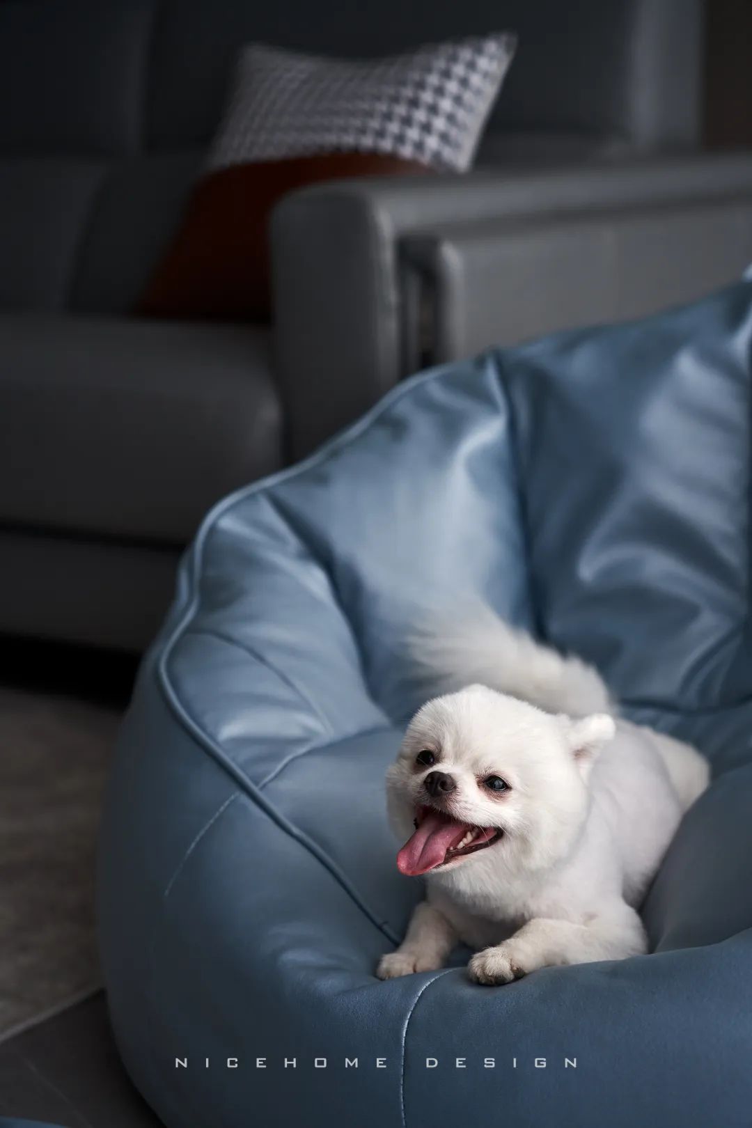 1669686507401314.jpg 微信圖片_20221129093924.jpg