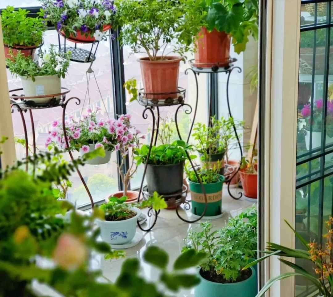 1683168331645562.jpg 微信圖片_20230504103502.jpg